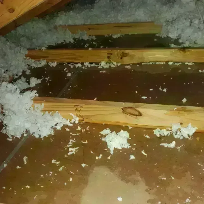 Attic Water Damage in Jonesville, MI