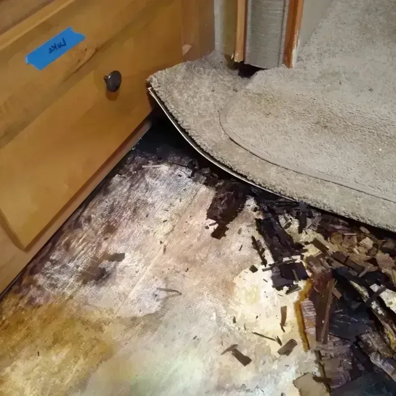 Best Wood Floor Water Damage Service in Jonesville, MI